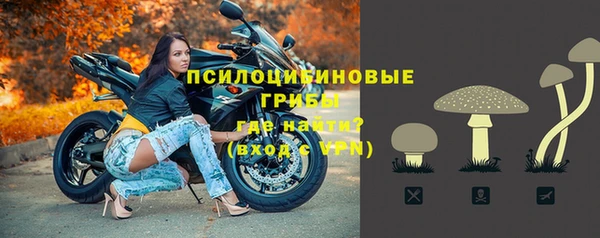 молекула духа Ветлуга
