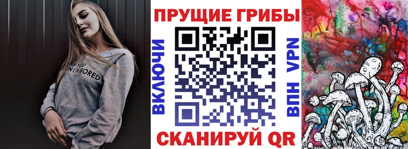 Галлюциногенные грибы прущие грибы  Купить закладки  Ковылкино 